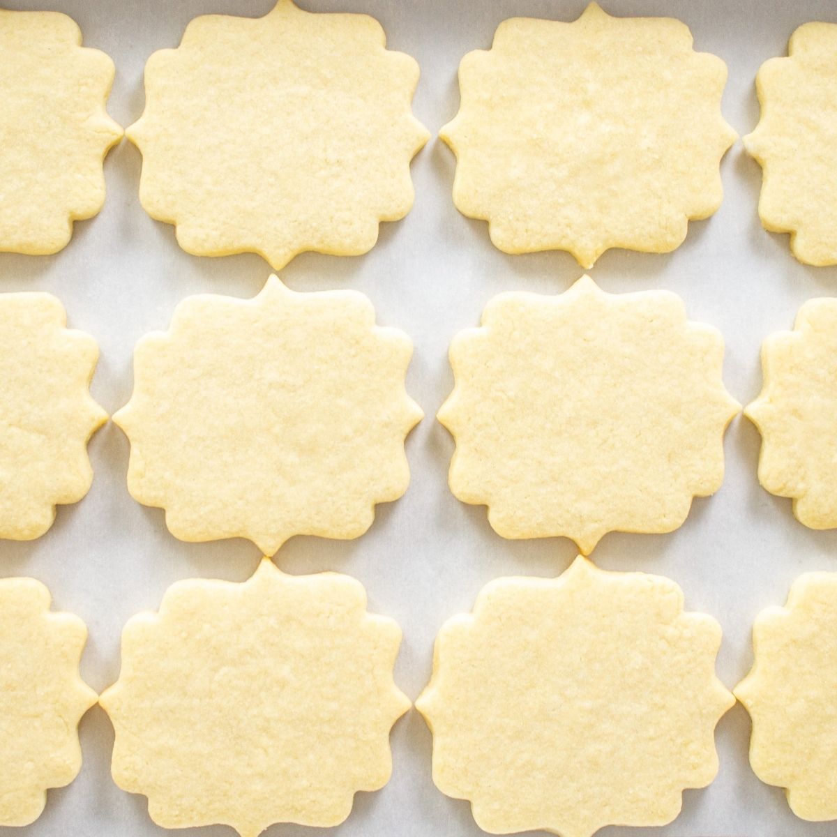 Sugar Cookie Template